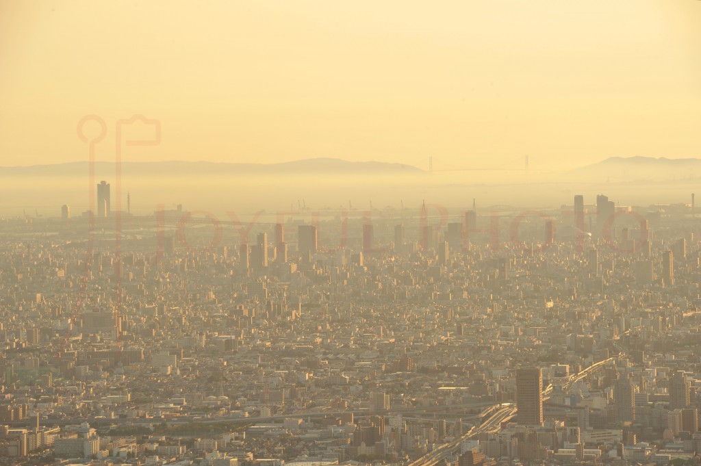 スカイビルからの風景