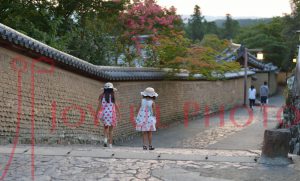 2016年 灯花会