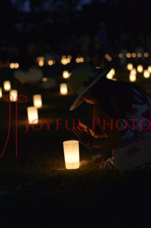 2016年 灯花会